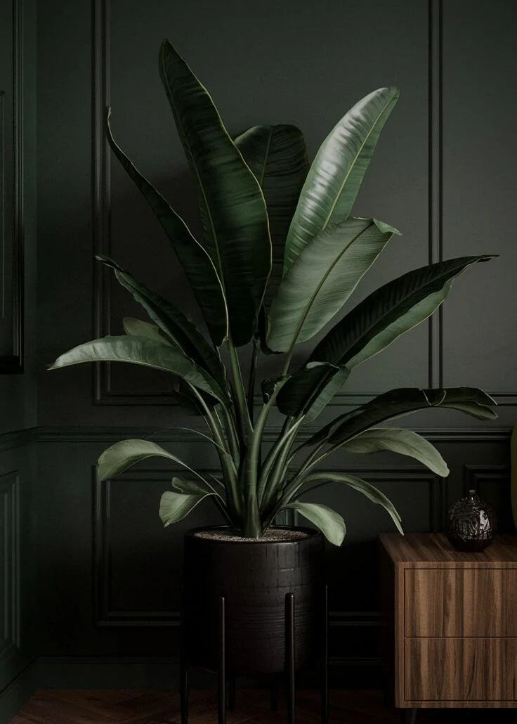 The Case For Going Fragrance-Free - FORK & MELON