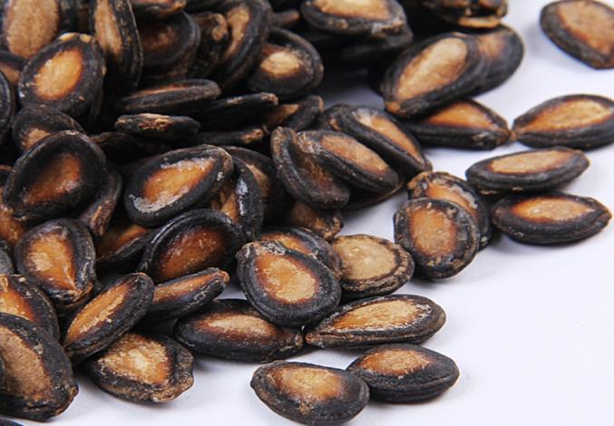 The Wonders of Watermelon Seed Oil - FORK & MELON